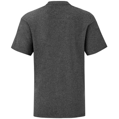 Fruit Of The Loom Iconisch T-shirt Kinderen / Kinder (Donker Heather)