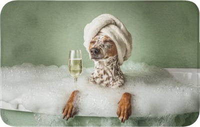 WC mat 80x50 cm - Antislip - Hond - Bad - Champagne - Handdoek - Toiletmat - Vloermat - Douchemat - Toilet tapijt - Toiletmatten