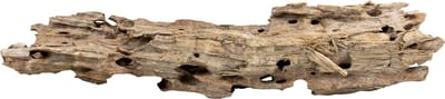 Aqua D'ella Honingraathout bruin aquarium en terrarium decoratie L - +/- 45-58cm