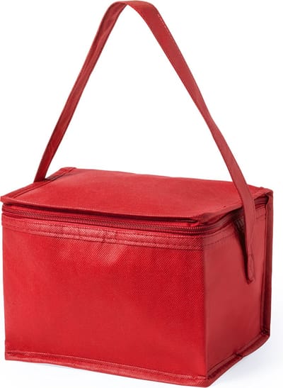 Koeltas - Koeltasje klein - Koeltassen - Geschikt voor 6 33cl blikjes - 4 liter - Rood