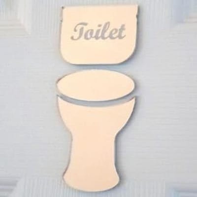 Toilet Deurbordje Spiegel 12x6 cm - Gegraveerde WC Plaat met Sterke Plakstrips