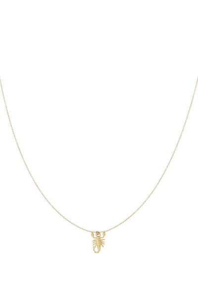 Scorpio Spirit ketting