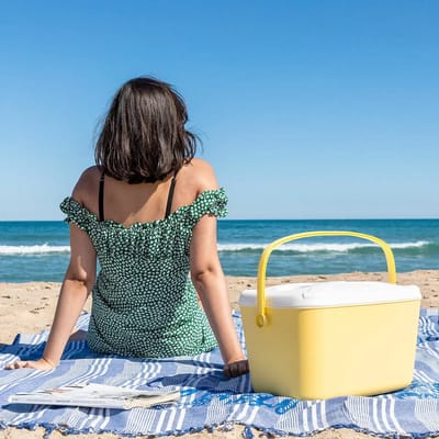 Glacière Rigide Portable - InnovaGoods - 15 L - Design Rétro - Couvercle Multifonctionnel - Léger et Maniable blanc