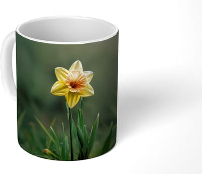 Mok - Koffiemok - Bloem - Narcis - Gras - Geel - Mokken - 350 ML - Beker - Koffiemokken - Theemok