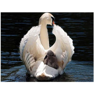5D Diy Diamond Schilderen Zwaan en Baby Zwaan Diamant Borduren Bruiloft Decoratie 20X30CM gray