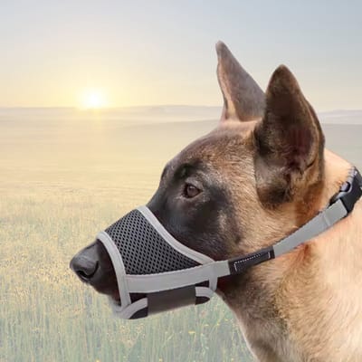 4Paw® Muilkorf Grote hond - Maat XL - Snuit 20-24 cm Verstelbaar grijs