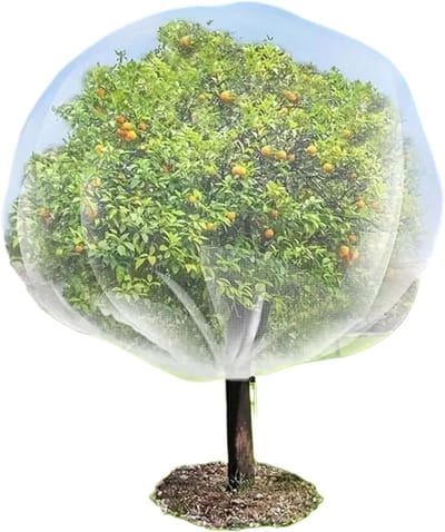 Plantenbeschermingsnet - Fruitboomnet - Fruitboom Beschermhoes - PE - Vogelwerend Net Voor Tuinplanten - Voor boerderij, buiten, terras, achtertuin, landschapsarchitectuur, kas - 1.2*1m - Wit