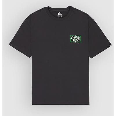 Quiksilver Ev Starfish Stamp T-Shirt grijs