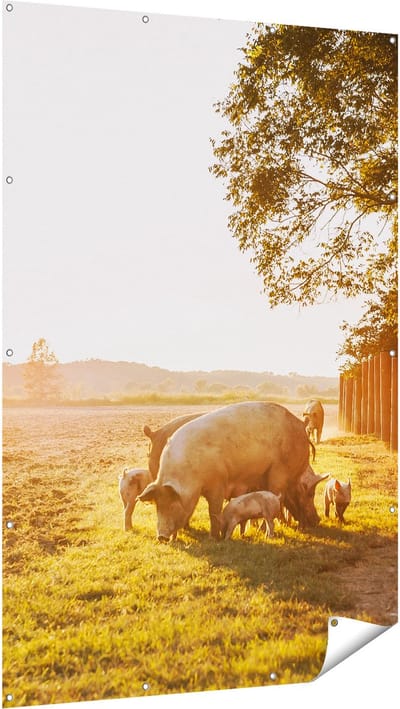 Gards Tuinposter Varken Familie - Varkens - 120x180 cm - Tuindoek - Tuindecoratie - Wanddecoratie buiten - Tuinschilderij