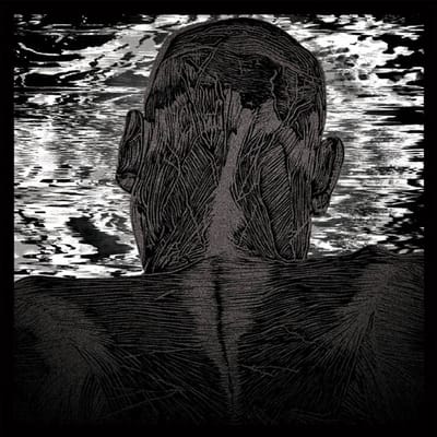 Asher Levitas - Lit Harness (LP)