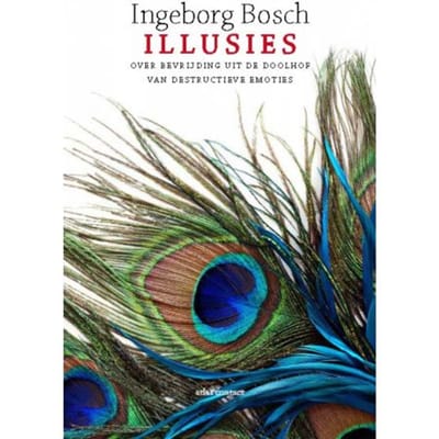 Illusies - Ingeborg Bosch