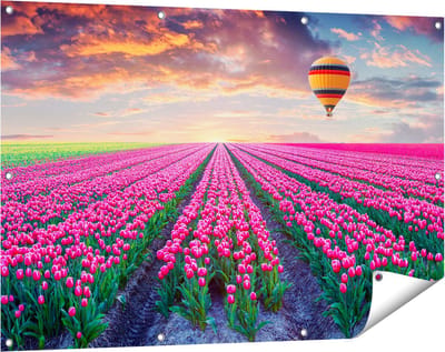 Gards Tuinposter Bloemenveld met Roze Tulpen - Luchtballon - 120x80 cm - Tuindoek - Tuindecoratie - Wanddecoratie buiten - Tuinschilderij