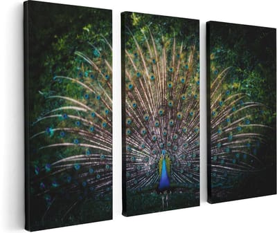 Artaza Canvas Schilderij Drieluik Pauw Met Kleurrijke Veren - Kleur - 120x80 - Foto Op Canvas - Canvas Print