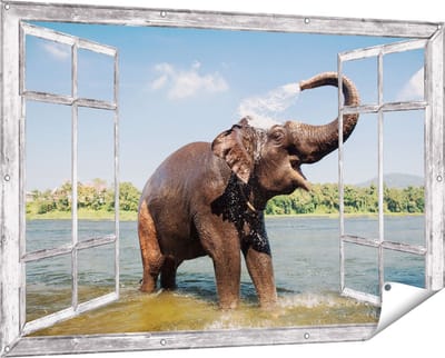 Gards Tuinposter Doorkijk Vrolijke Olifant in het Water - 150x100 cm - Tuindoek - Tuindecoratie - Wanddecoratie buiten - Tuinschilderij