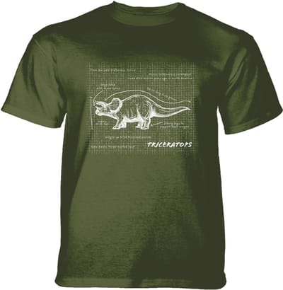 T-shirt Triceratops Fact Sheet Green KIDS S