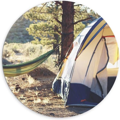 Dibond Wandcirkel - Tent met Hangmat in de Bossen - 100x100cm Foto op Aluminium Wandcirkel (met ophangsysteem)