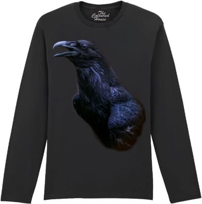 Raaf The Messenger - Raven The Coloured House Longsleeve T-shirt XXL