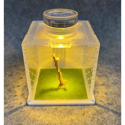 Kruipende Springspin Kweekbak Acryl Niet-Vangende Spin Bidsprinkhaan Sprinkhaan Insect Mini Doos