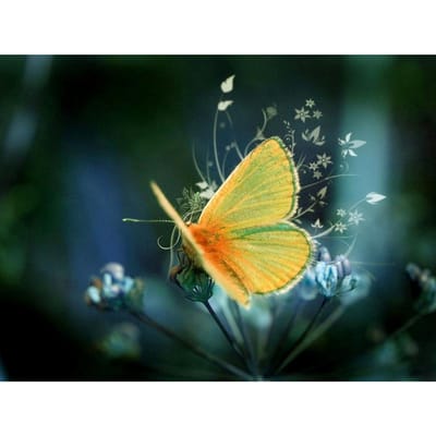 Perçage Rond Complet Broderie Diamant Papillon Vert 5D DIY Peinture Diamant Point de Croix Strass 20X30CM yellow