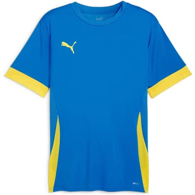 Puma TeamGOAL Matchday Shirt Heren - Maat M