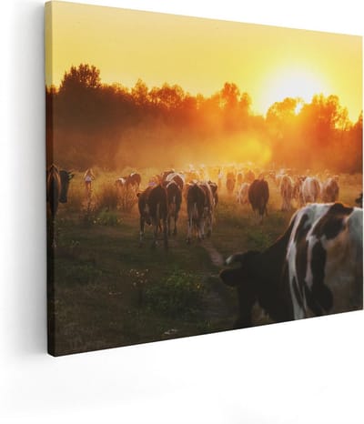 Artaza Canvas Schilderij Koeien Zonsondergang - 50x40 cm - Muurdecoratie Boerderij Dieren - Wanddecoratie Natuur - Kamer Accessoires Woonkamer