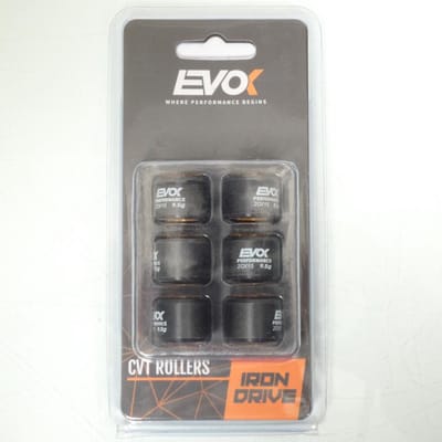 Galet rouleau de variateur EVOK pour scooter Honda 125 PCX 2010 à 2017 20x15 9.5Grs 100480094 Neuf