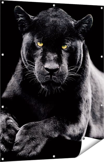 Gards Tuinposter Zwarte Panter - 90x120 cm - Tuindoek - Tuindecoratie - Wanddecoratie buiten - Tuinschilderij