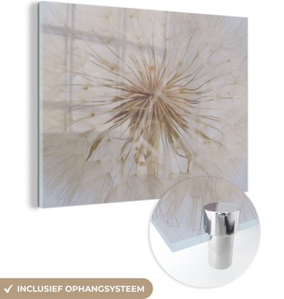 MuchoWow® Glasschilderij 120x90 cm - Schilderij acrylglas - Bloemen - Paardenbloem - Design - Foto op glas - Schilderijen