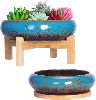 Vetplant Pot - Bonsai Pot met Dienblad - Set van 2 - Kleurrijk - Keramisch - 18,5/25 CM