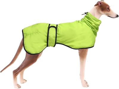Hondenregenjas met reflecterende bies, waterdicht en verstelbaar - ideaal voor windhonden, kleine honden en actieve viervoeters - neongroen - XXXL