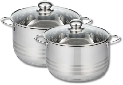 Set van 2 kookpotten 20 en 24 cm van roestvrij staal zonder PFAS Elo Brillant