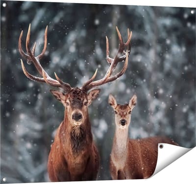 Gards Tuinposter Twee Herten met Sneeuw - 100x80 cm - Tuindoek - Tuindecoratie - Wanddecoratie buiten - Tuinschilderij