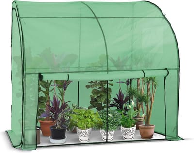 Winterharde Foliekas met Oprolbare Zijwanden en Waterdichte PE-Folie – Tuinbroeikas met Stabiel Metalen Frame
