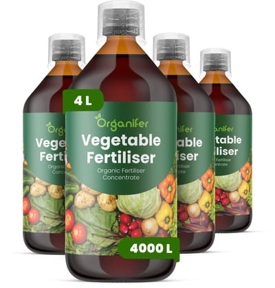 Vloeibare Meststof Voor Groente 4X1 L Voor 4000 L - Npk 3-4-3 - Ondersteunt Sterke Wortelontwikkeling - Geschikt Voor Teelt In De Vollegrond - Verhoogde Bedden - Kas - Ondersteunt Gelijkmatige Groei En Productieve Teeltcycli - Organifer