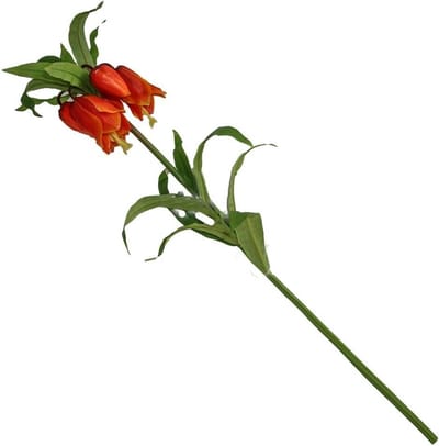 Kunsttak Fritillaria, kievitsbloem rood