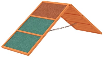 Agility Hondenrampe - 173x59x66 cm - Verstelbare Hoogte en Rotsvaste Oppervlakte - Hout - Oranje/Groen