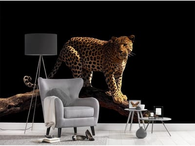 Fotobehang Leopard DD114652 A.S. Création XXL 5 | 3D Fotobehang