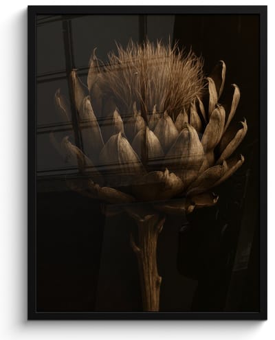 Poster in lijst - Fotolijst 60x80 cm - Posters - Donkerbruin - Bloem - Textuur - Artisjok - Posterlijst zwart - Decoratie - Wanddecoratie woonkamer - Muurdecoratie slaapkamer