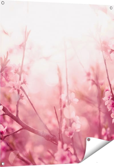 Gards Tuinposter Roze Bloesemboom met Zonneschijn - 80x100 cm - Tuindoek - Tuindecoratie - Wanddecoratie buiten - Tuinschilderij