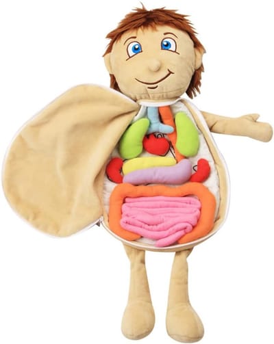 Anatomie Pop - Lichaamsmodel Educatief - Vroeg Leren - Verwijderbare Organen - 49x33x6 cm