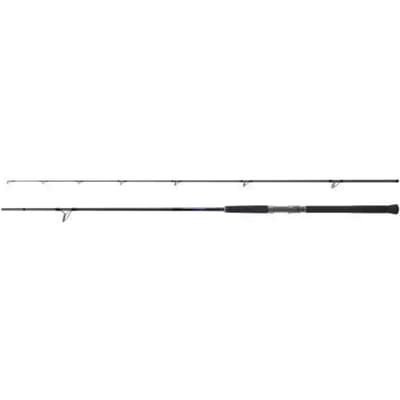 Shimano Fishing Bb S96mh Spinhengel Zilver 2.90 m / 65 g