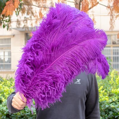10 STUKS Rode Struisvogelveren Bulk 15-60CM Natuurlijke Veren Voor Knutselen Bruiloft Feest Tafeldecoraties Decoratie Carnaval Plumas 15-20CM 6-8INCH