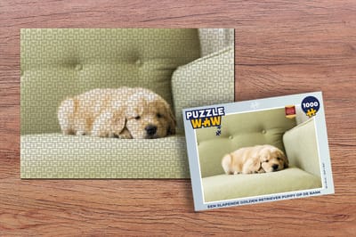 Puzzel Een slapende Golden Retriever puppy op de bank - Legpuzzel - Puzzel 1000 stukjes volwassenen