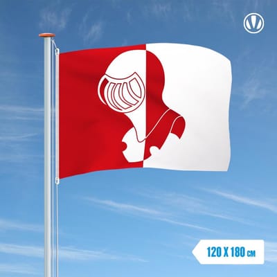 Vlag Helmond 120x180cm