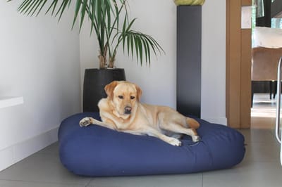 Dog's Companion Hondenkussen / Hondenbed - L - 115 x 85 cm - Donkerblauw Canvas/Katoen