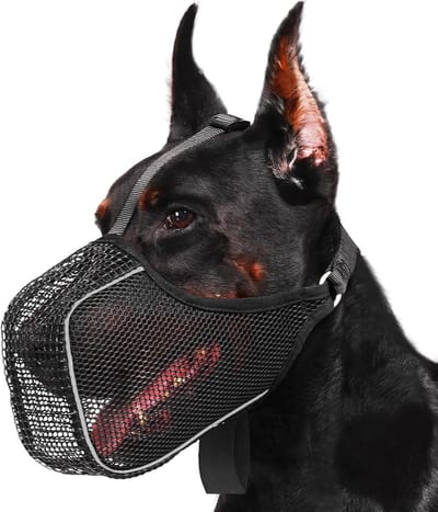 Honden muilkorf - Snuitmasker puppy - Veilig wandelen - Ademend mesh materiaal - XXL - Zwart