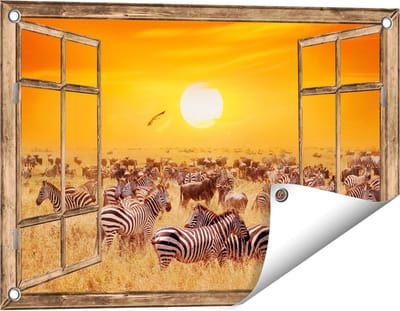 Gards Tuinposter Doorkijk Kudde Zebra's bij een Oranje Zonsondergang - 60x40 cm - Tuindoek - Tuindecoratie - Wanddecoratie buiten - Tuinschilderij