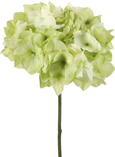 Viv! Home Luxuries Hortensia - zijden bloem - groen wit - 48cm