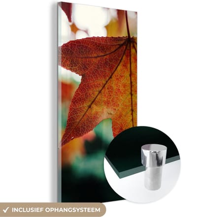 MuchoWow® Glasschilderij 20x40 cm - Schilderij acrylglas - Herfst - Landelijk - Bladeren - Seizoenen - Landelijk - Foto op glas - Schilderijen