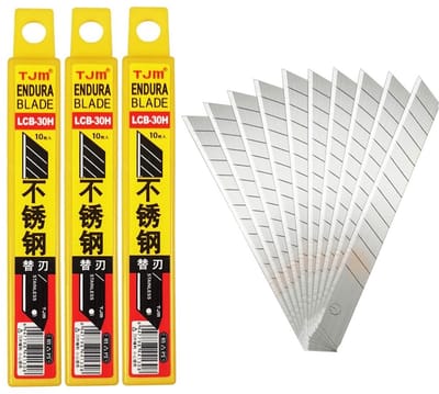 Dailygoods- Afbreekmessen 30pcs - Vervangende Messen - Professioneel Tapijtmes - Grafisch Mes - Roestvrij Staal - Ideaal Voor Handwerk - Snijmes